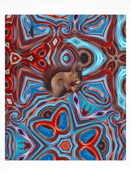 Eichhoernchen-Kaleidoskop-Hintergrund_2 mit Adler