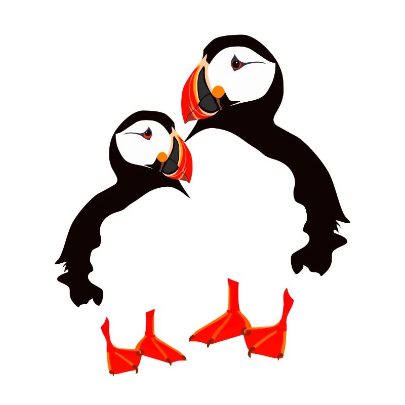 two puffins