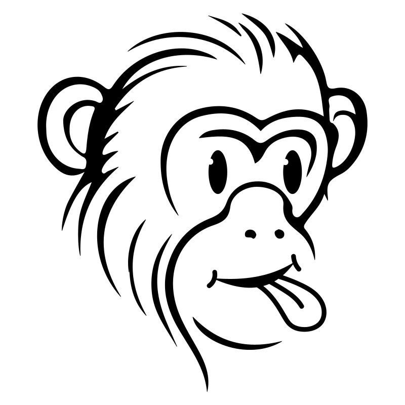 Monkey Funny