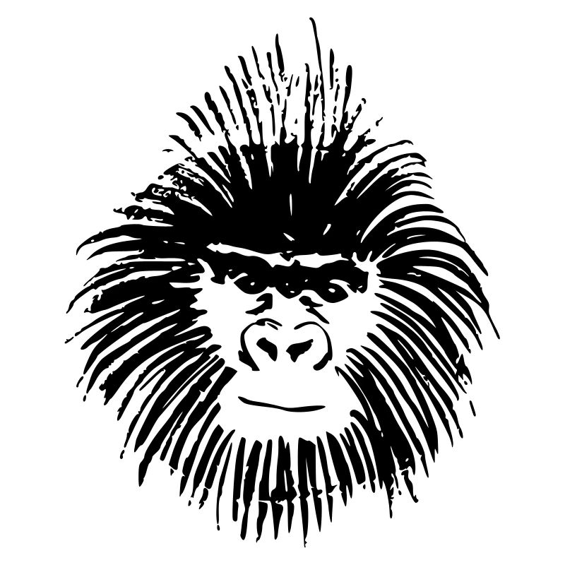 monkey