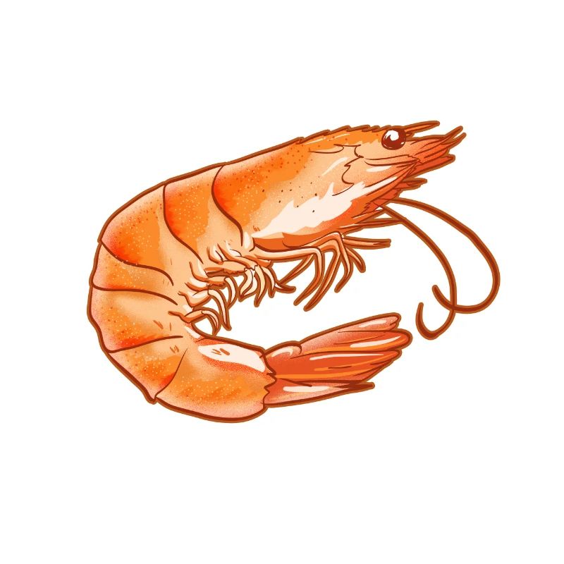 When in Doubt Shrimp out! Shellfish Shrimp Lovers