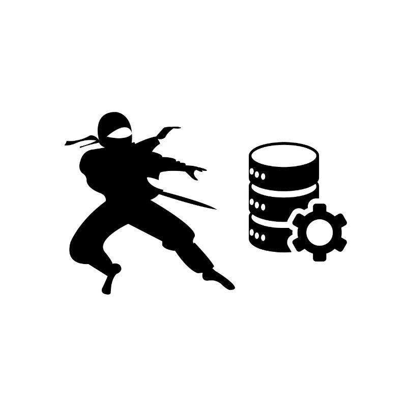 Data Ninja | Chemise Data Science
