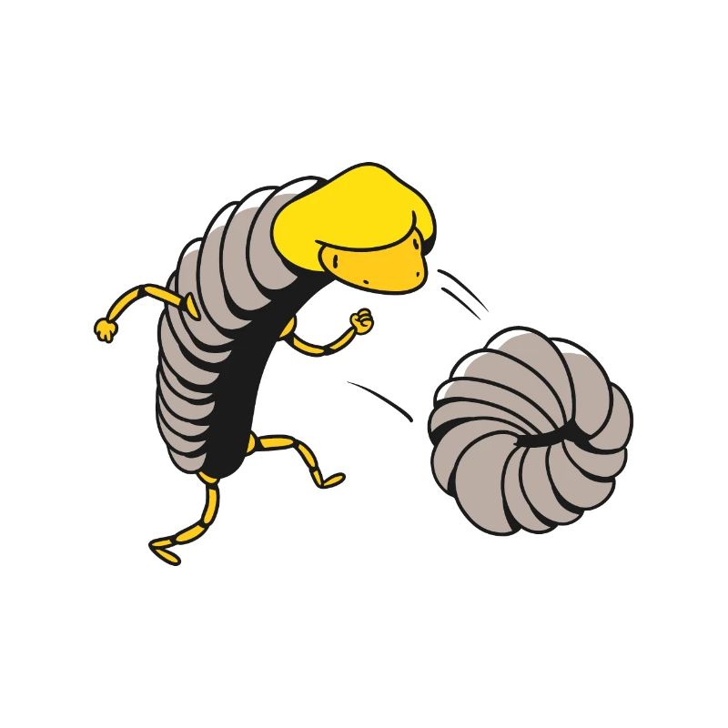 Cloporte mignon en cours d'exécution