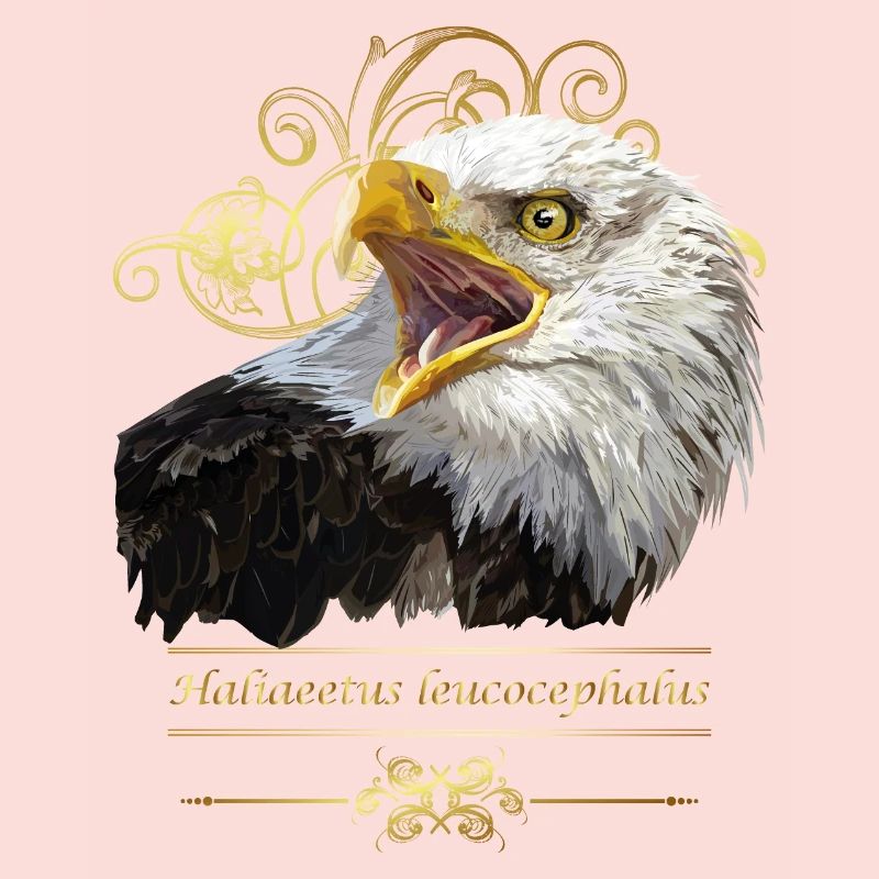Bald eagle