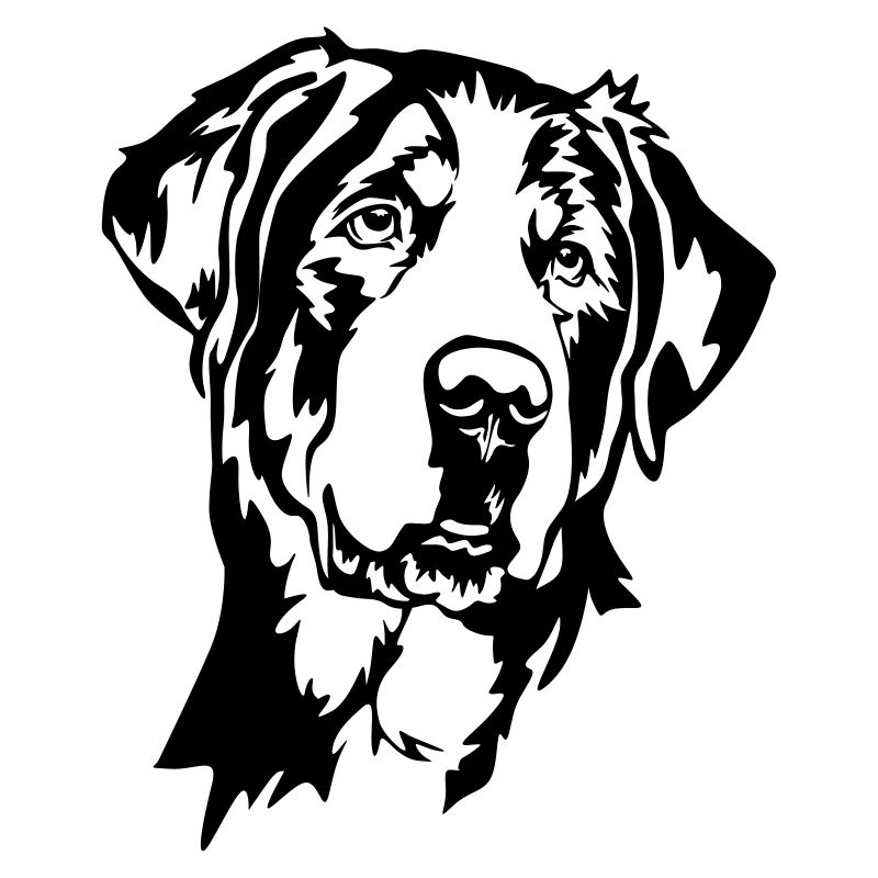 Großer Schweizer Sennenhund Kopf