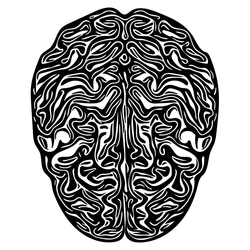 Brain - Anatomical Vector