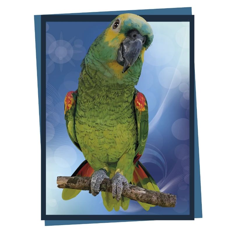 The blue-fronted amazon