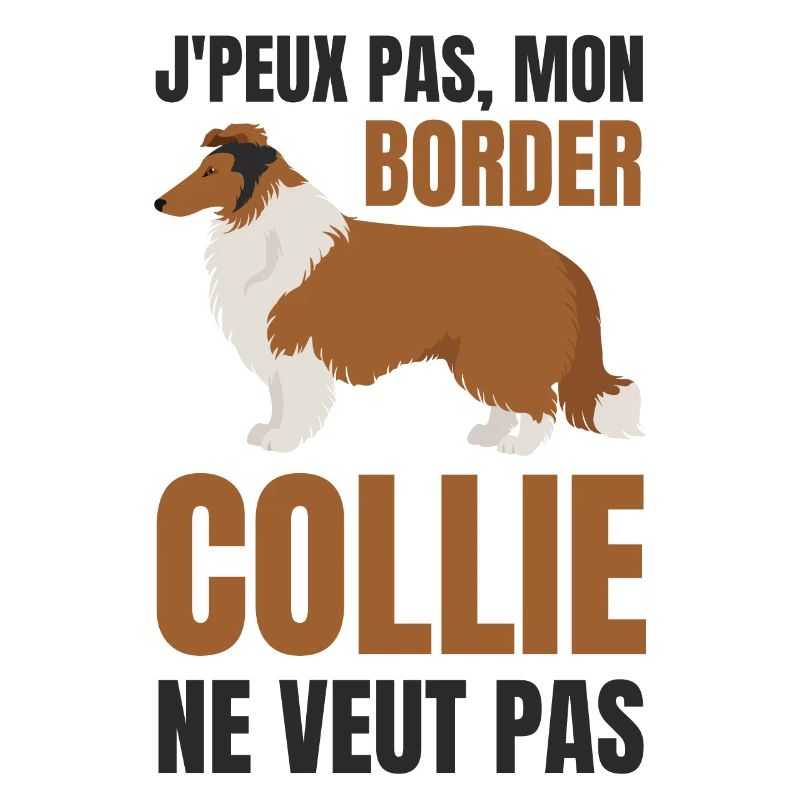 Border collie chien doux