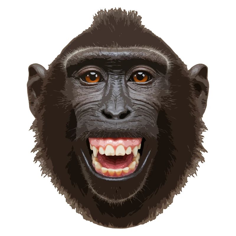 Tête de singe