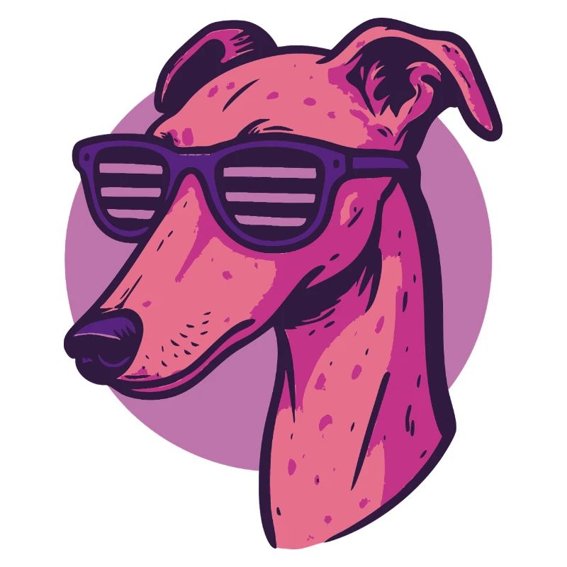 Windhund, Galgo