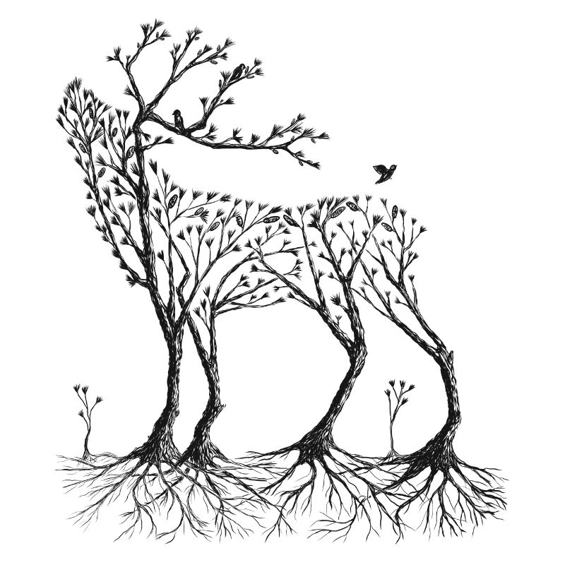 Forest deer in black