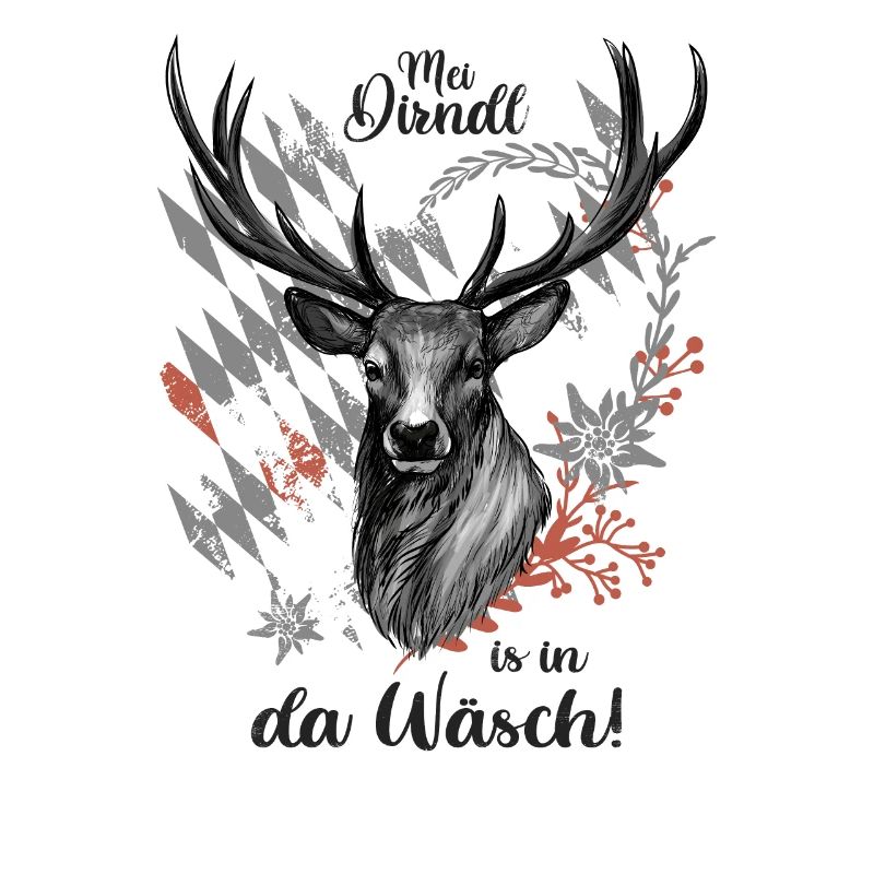 Mei Dirndl is in da Wäsch Dirndl Ersat