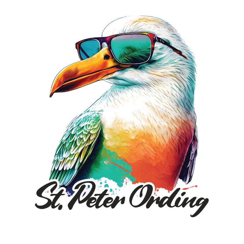 Sankt Peter Ording Urlaub Möwe mit Sonnenbrille