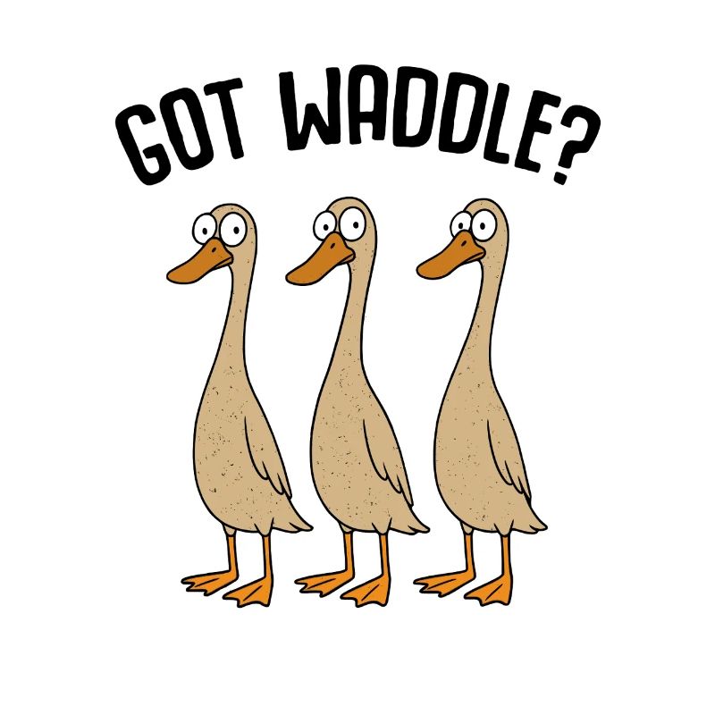 Ducks Duck Mom Duck Dad Duck Breeding Duck Ducks
