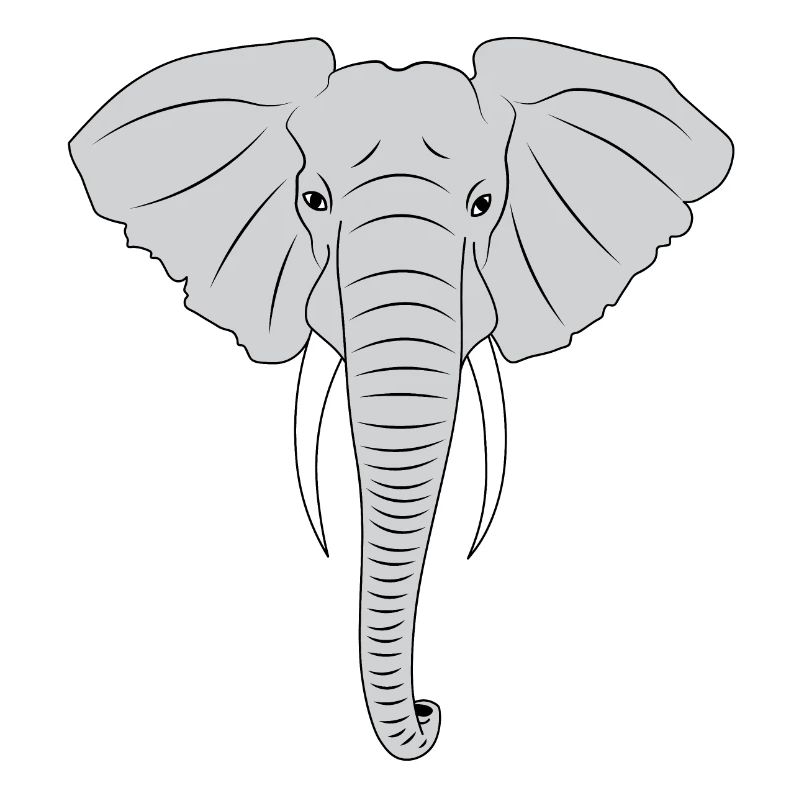 Éléphant