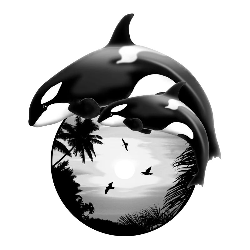 Killer whale