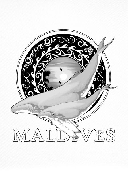 Buckelwale Malediven