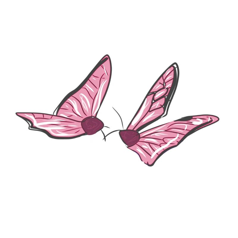 papillon rose animaux fly spring