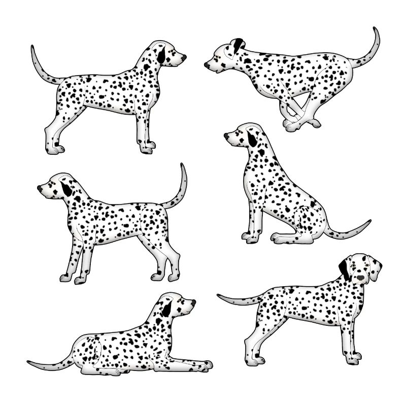 Dalmatian selection