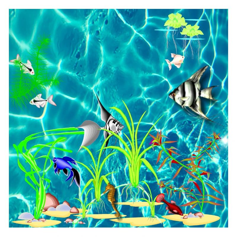 Tropical Fish Tank
