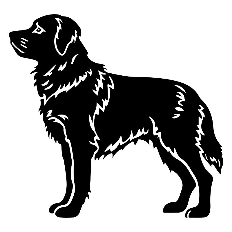Chien samoyède