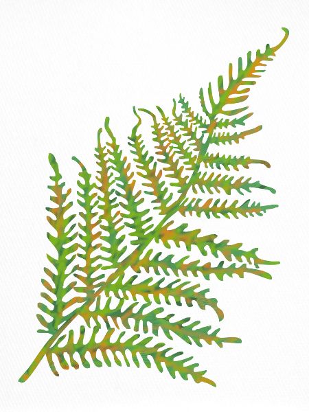 Farnkraut Blatt Motiv