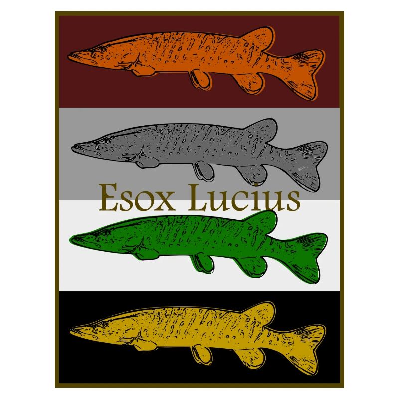 Conception de brochet coloré