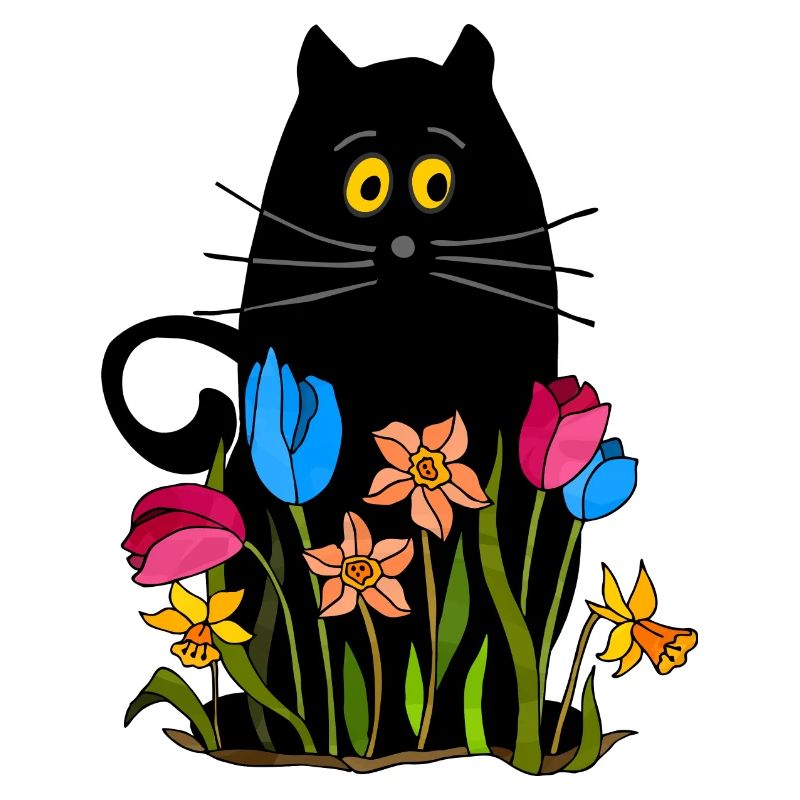 Katze