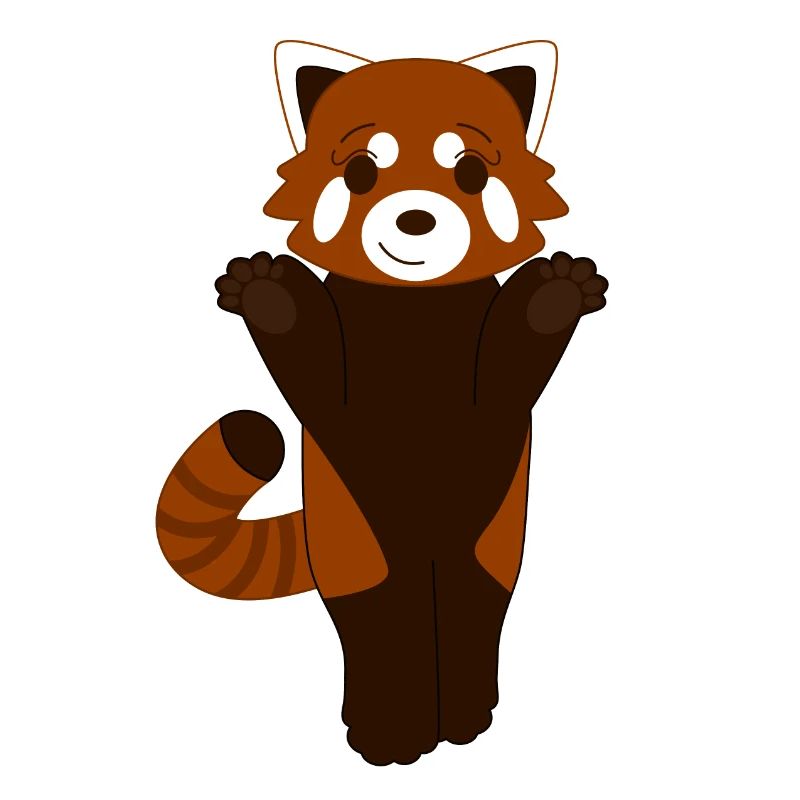Panda roux debout
