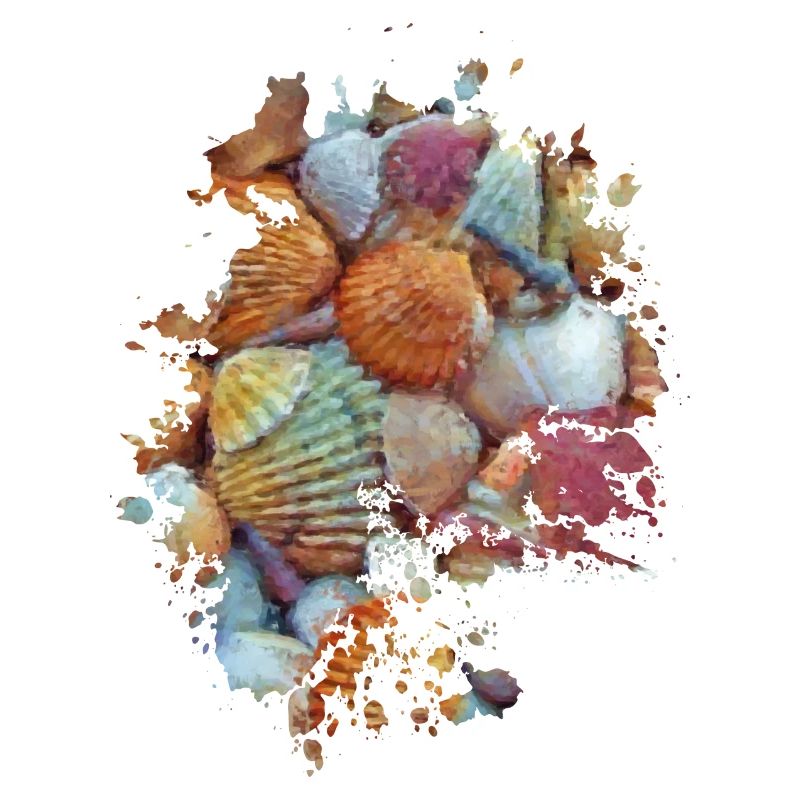 Muscheln