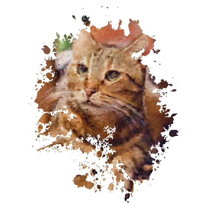 Katze
