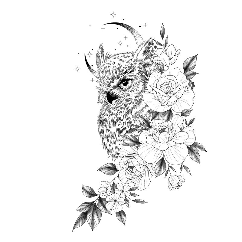 Eule Blumen Pfingstrose Eule Zeichnung
