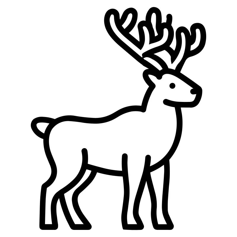 caribou