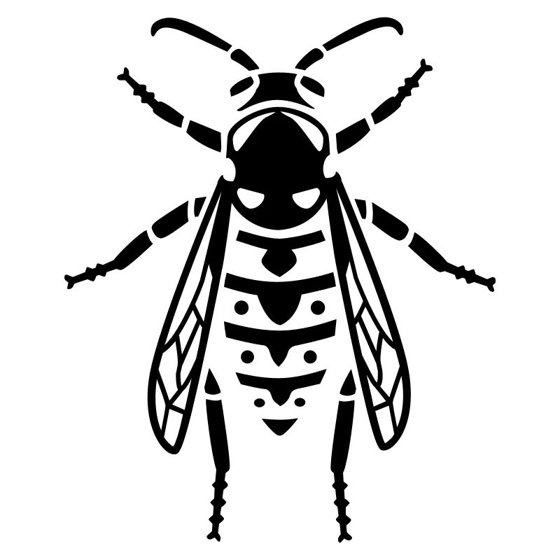 Insectes - Wasp