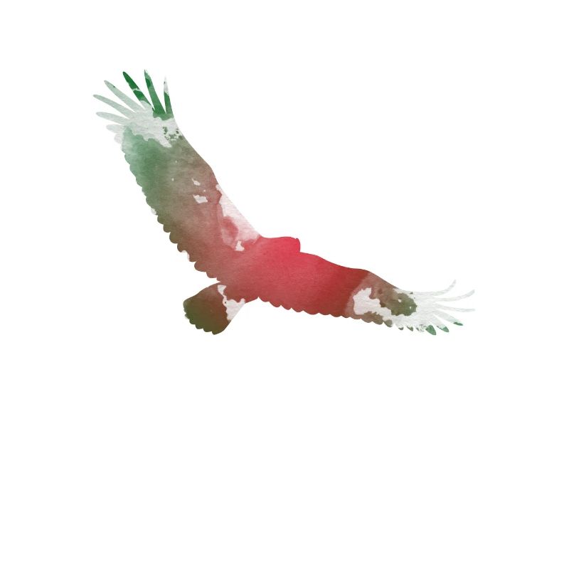 Magical Flying Eagle Trippy Silhouette
