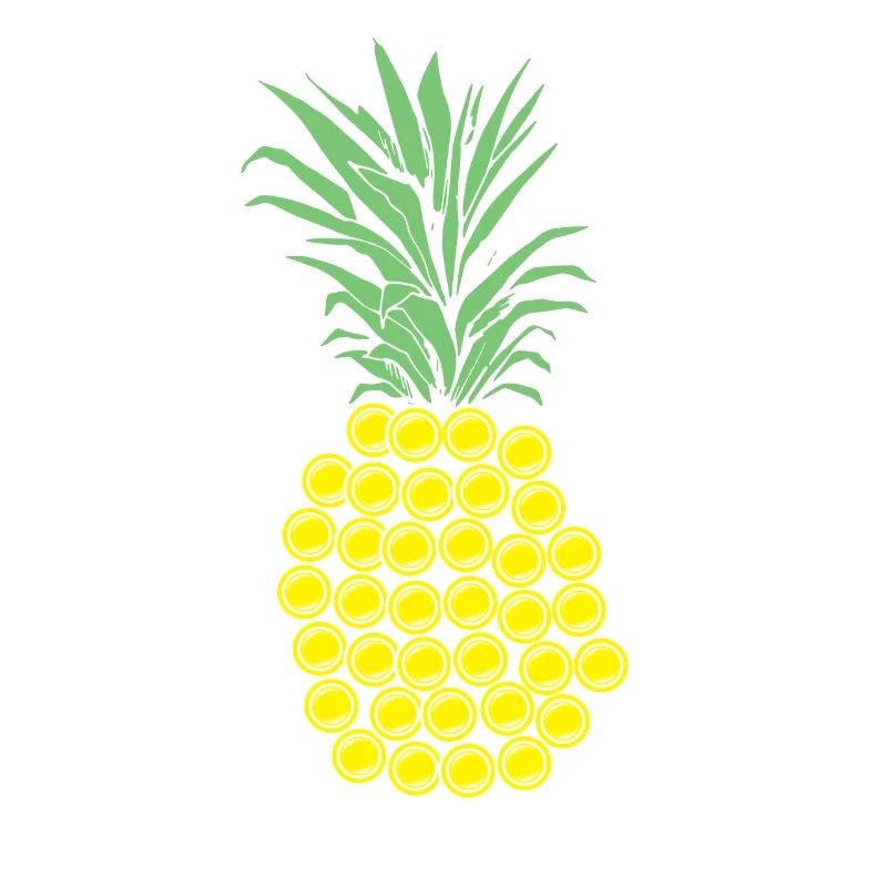 Disc Golf Ananas Geschenk
