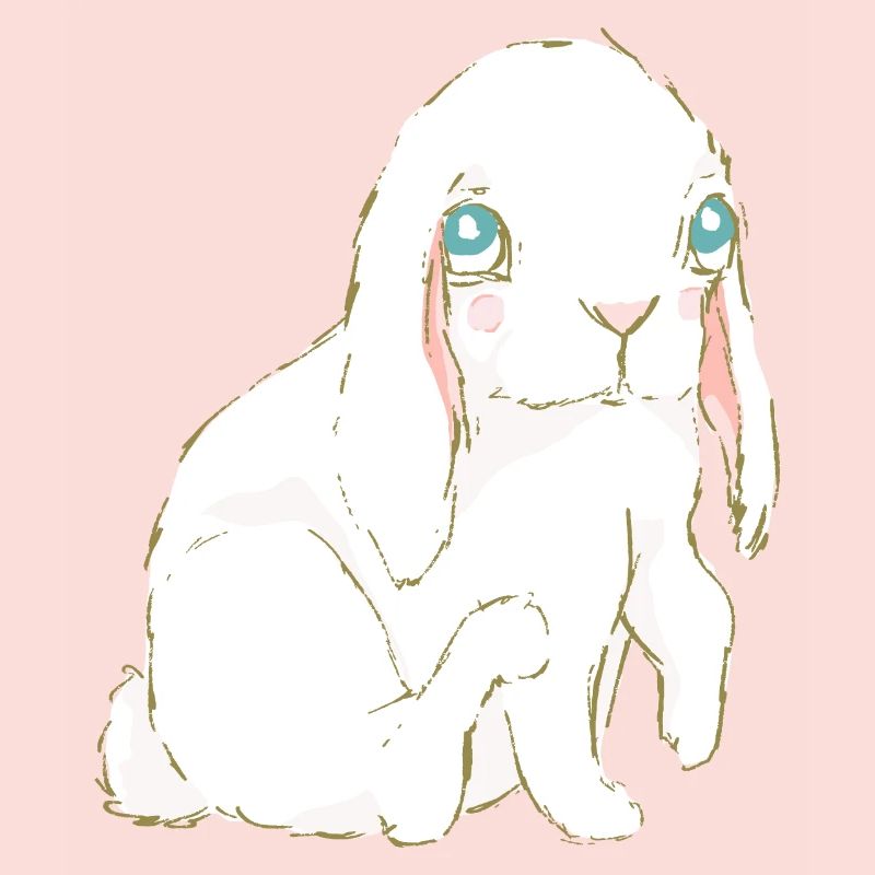 Rabbit