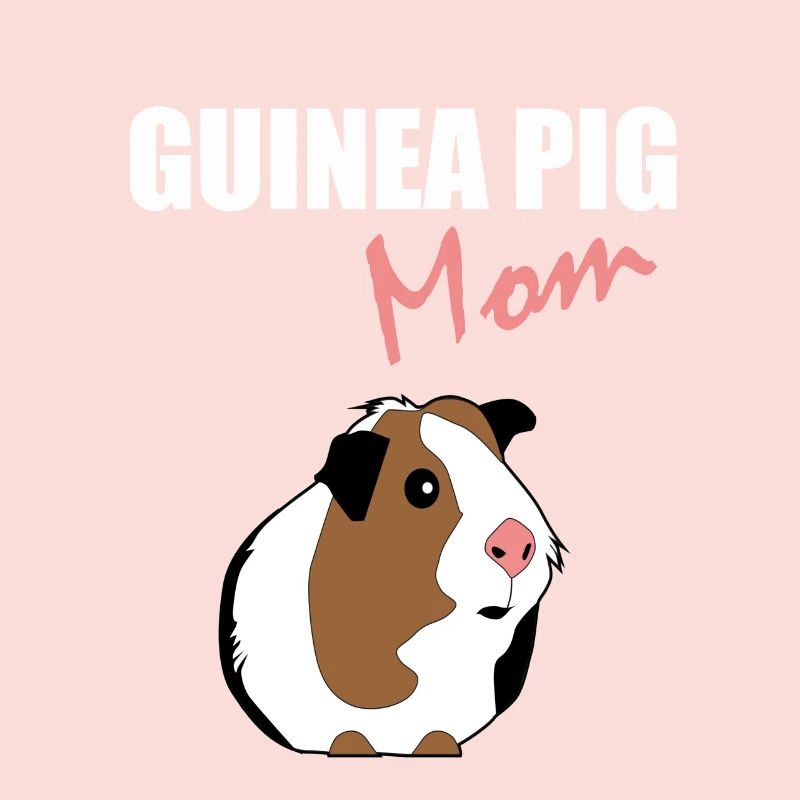 Guinea pig