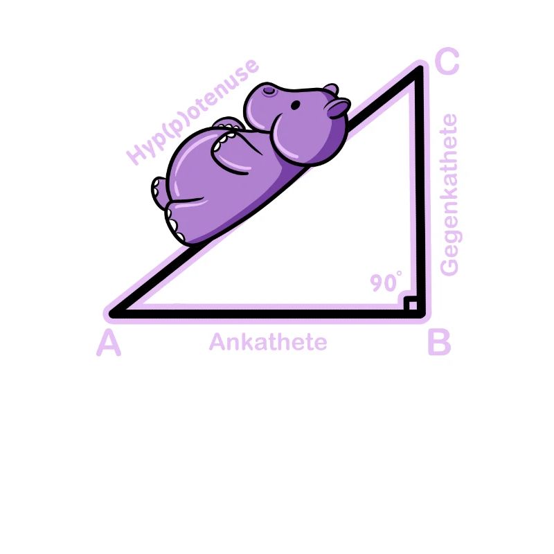Hyppothenuse math Funny teacher