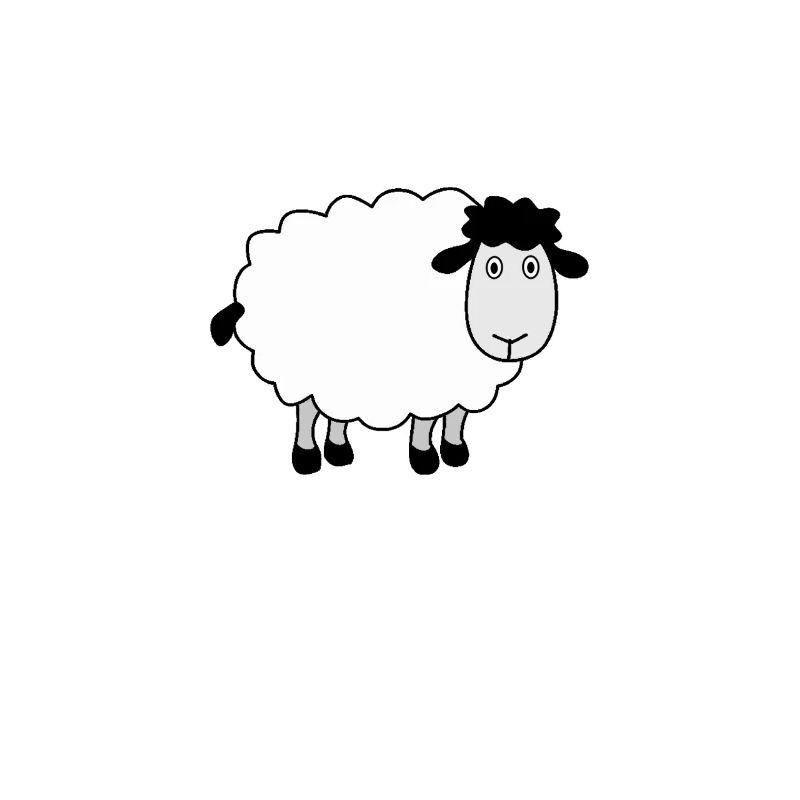 Schaf