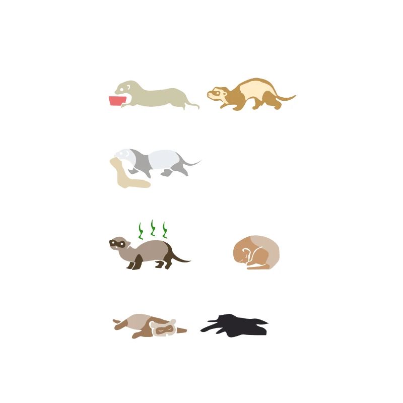 Furet