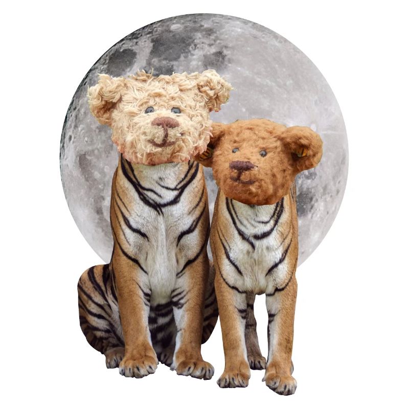 Collage art surreal tiger teddy gift design