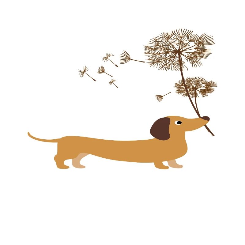 Dackel mit Pusteblume - Dackel shirt geschenkidee