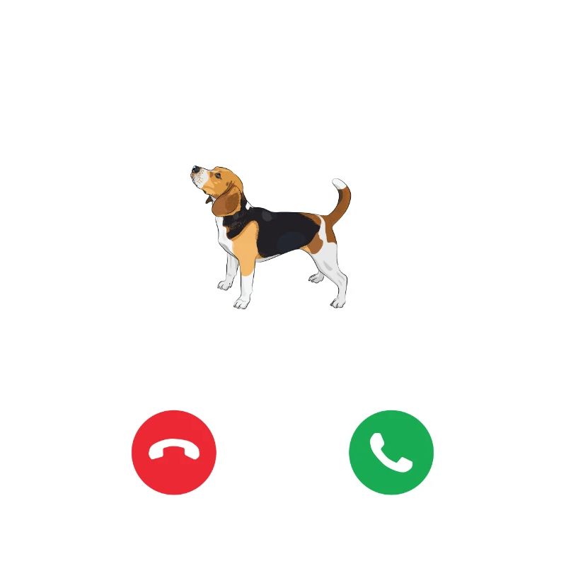 Idée cadeau chiot Beagle