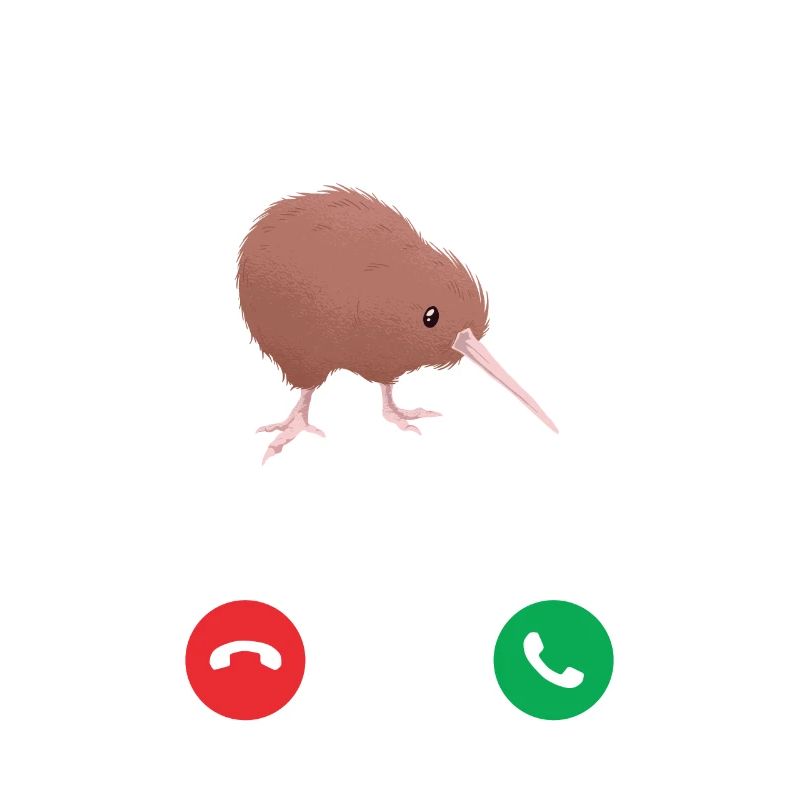 Kiwi bird calling gift