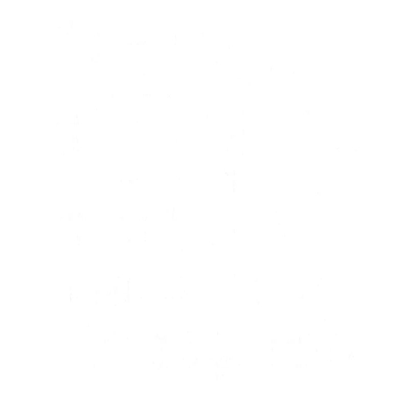 Video Game Designer