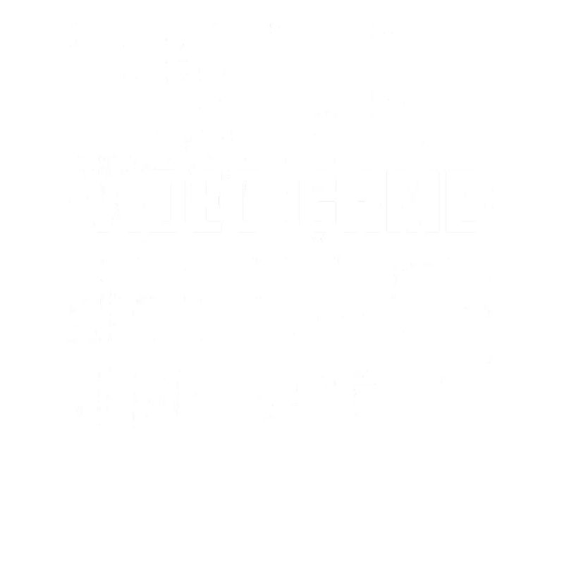 Video Game Designer