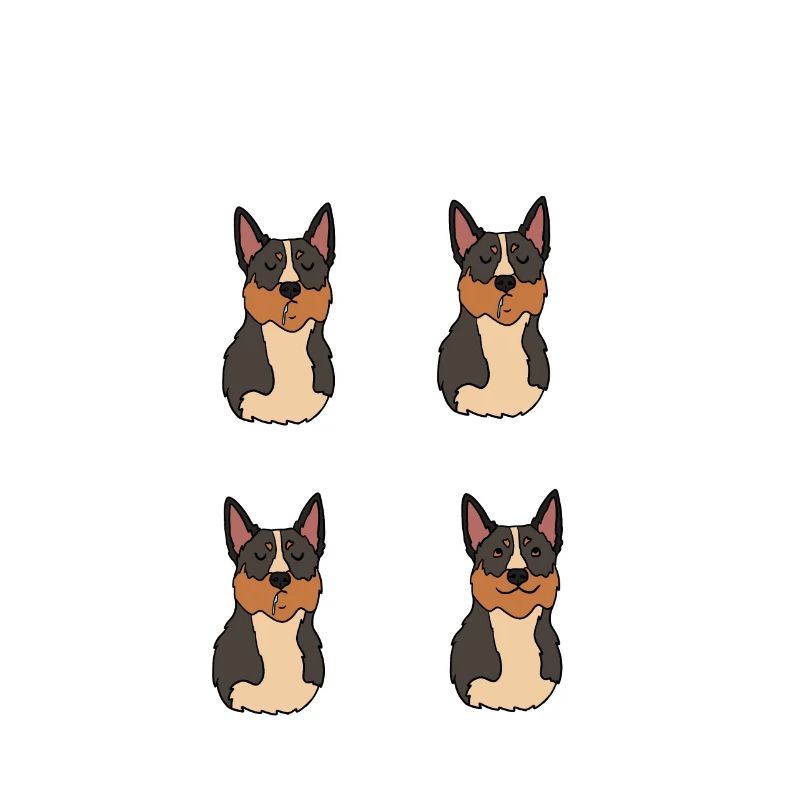Bouvier australien
