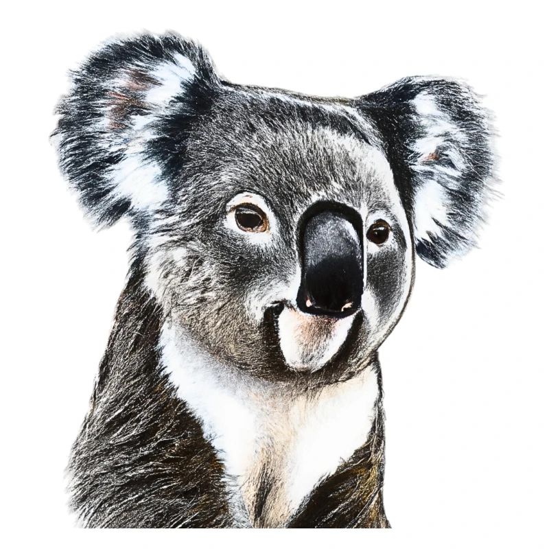 Koala mignon mignon idée cadeau koala bear