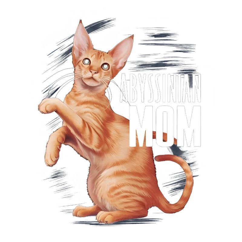 Katze Abessinier Geschenk